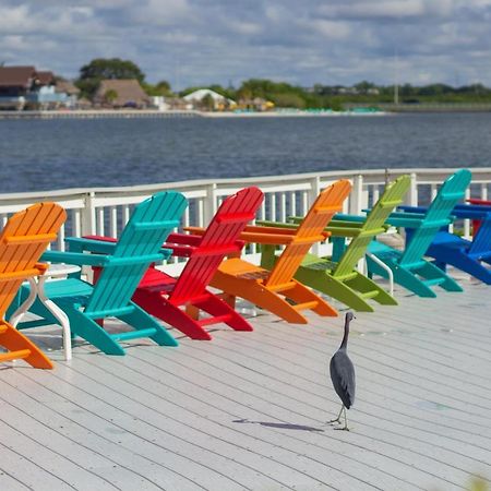 412-Amazing Views, Waterfront, Wifi, Pool, Close To Bucs Stadium Tampa Kültér fotó