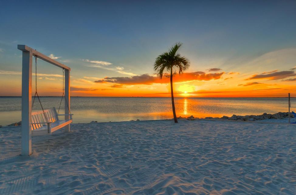 412-Amazing Views, Waterfront, Wifi, Pool, Close To Bucs Stadium Tampa Kültér fotó